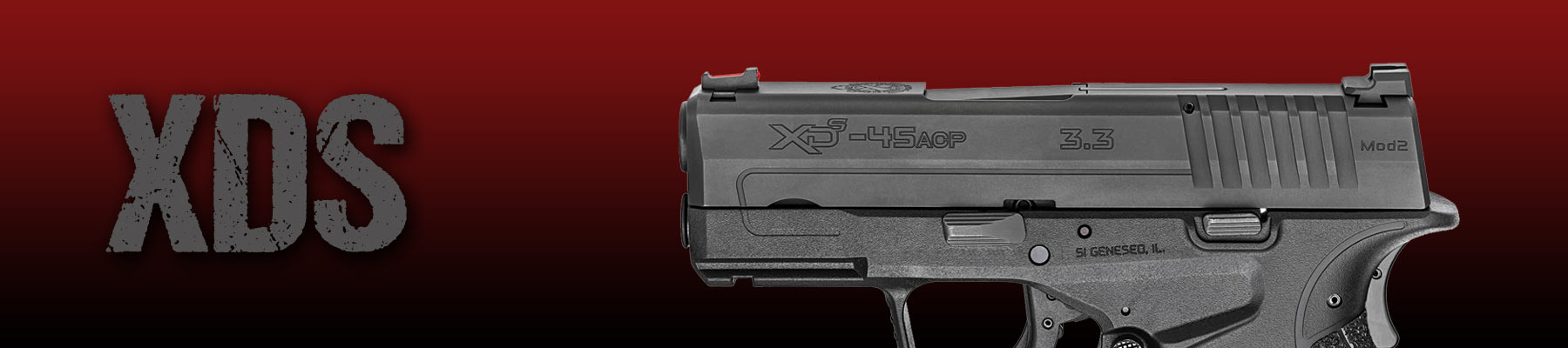 XDS header image
